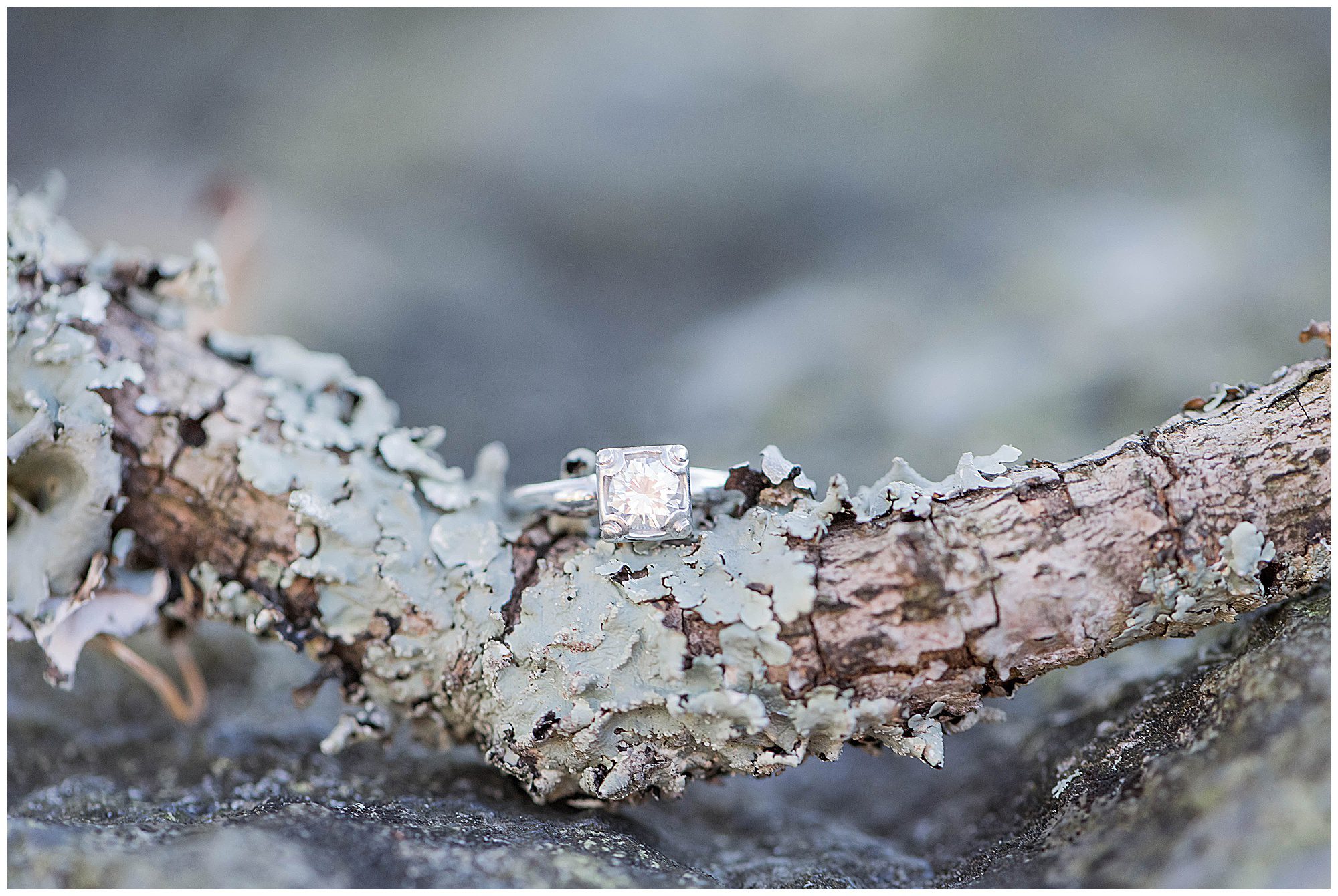 Big Meadows Lodge Skyline Drive Engagement Franzi Lee Photography-0594.jpg