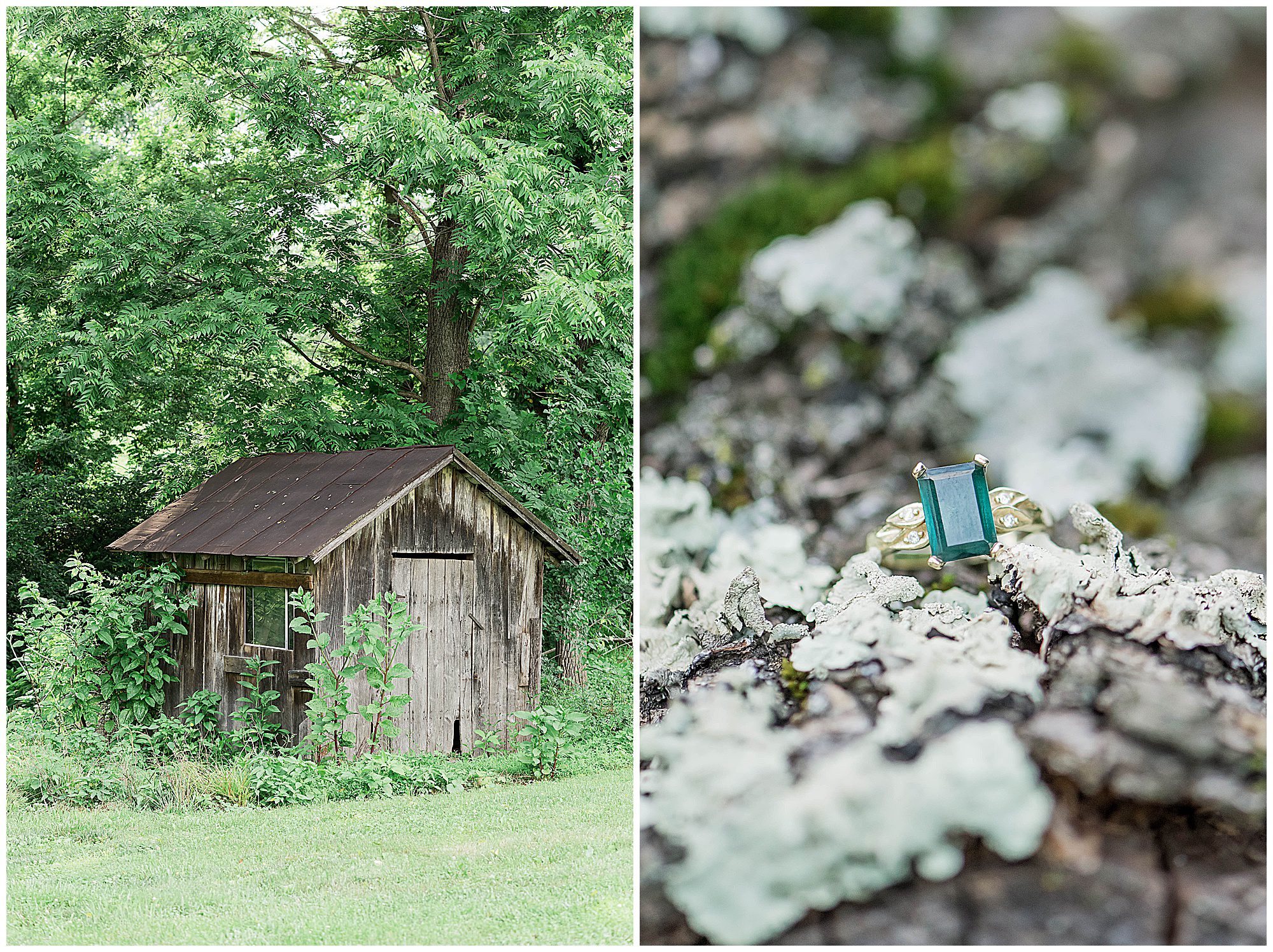 Lee & Ben Bendemeer Family Farm Engagement Delaplane Virginia Franzi Lee Photography-4813.jpg