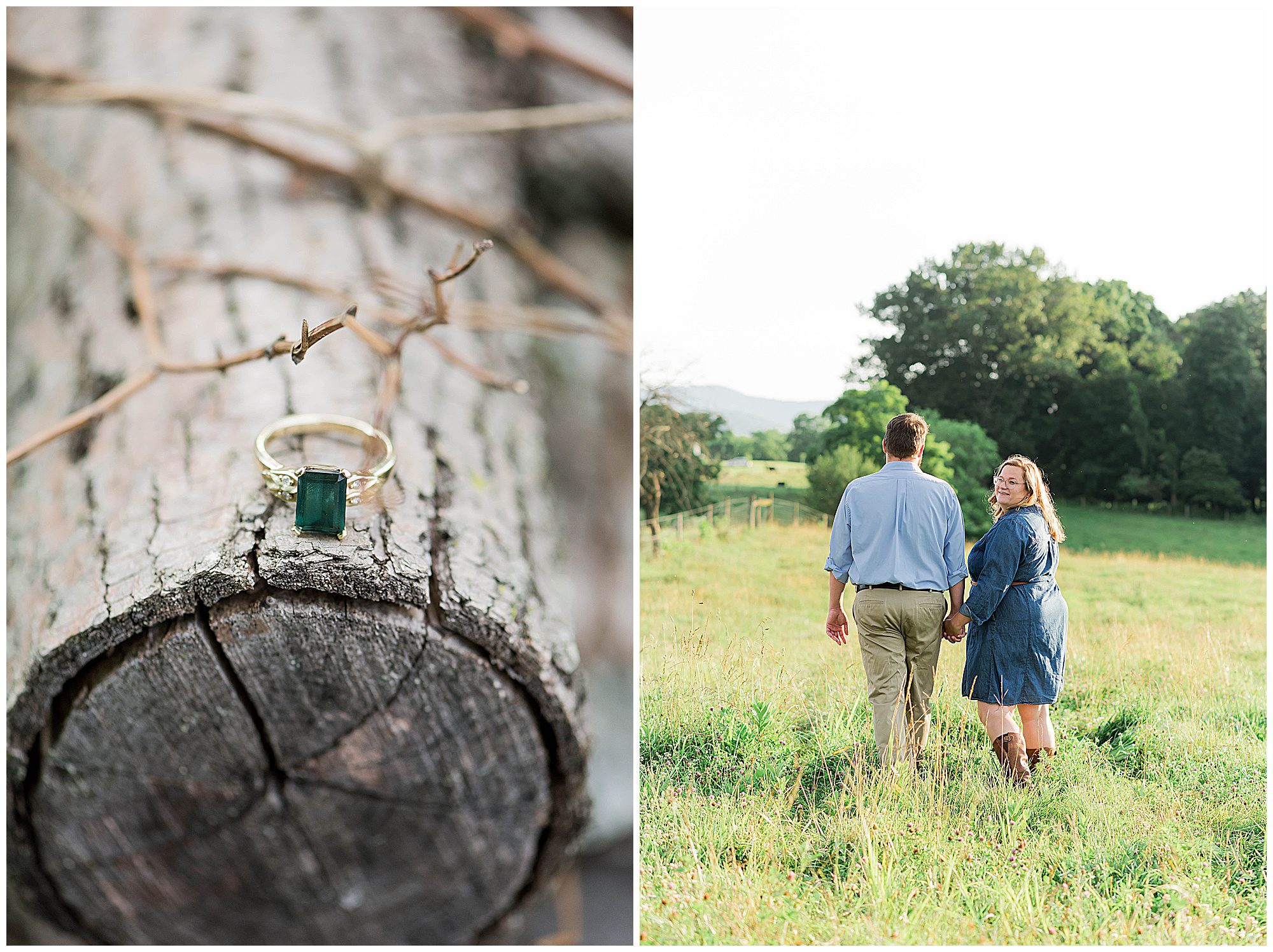 Lee & Ben Bendemeer Family Farm Engagement Delaplane Virginia Franzi Lee Photography-5181.jpg