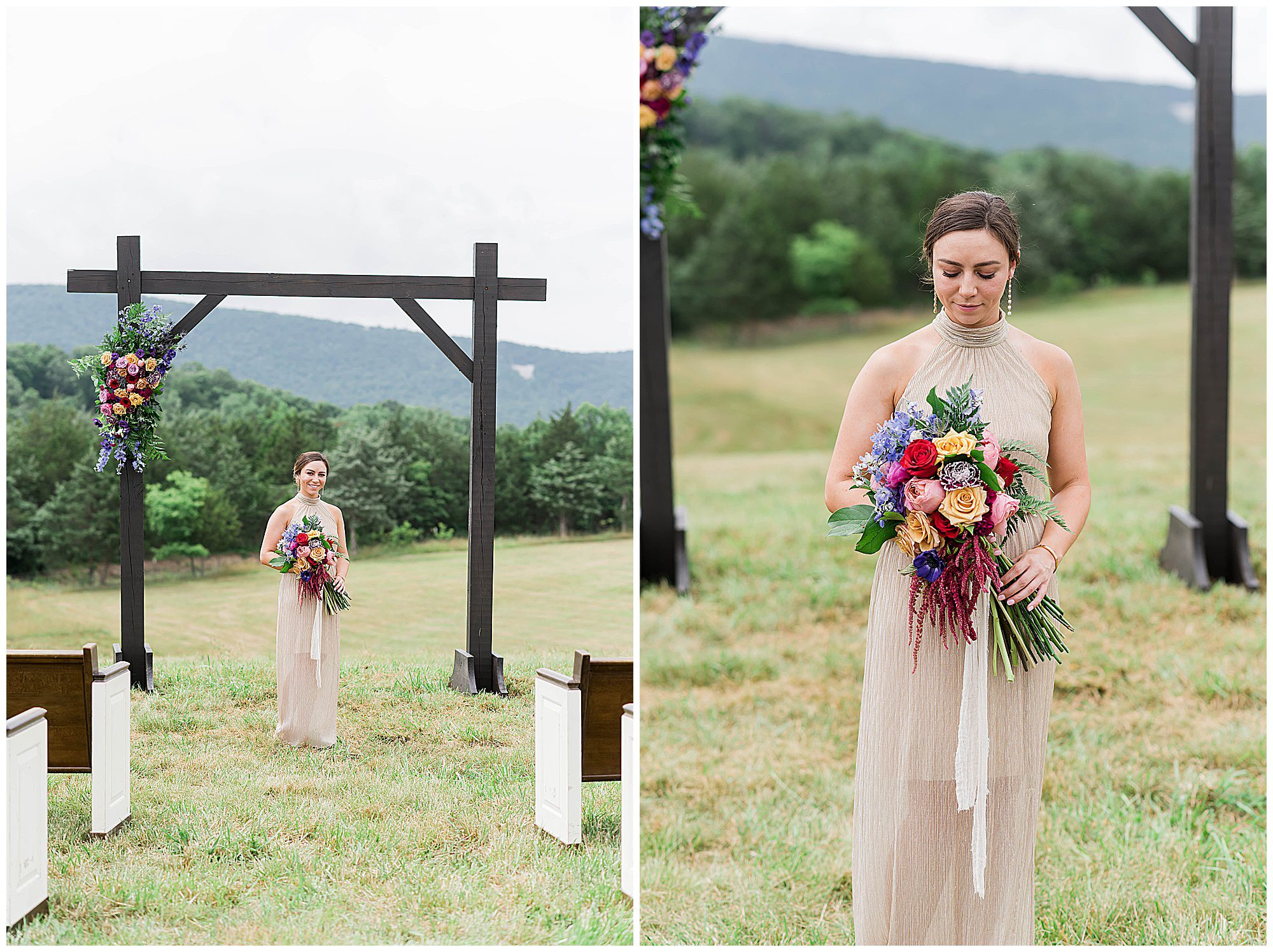 Canaan Spring Farm Wedding Venue Star Tannery Virginia Franzi Lee Photography-5517.jpg